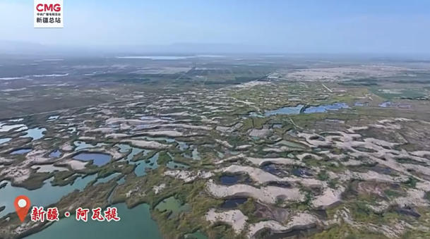 wechat_2025-08-15_165341_869.jpg